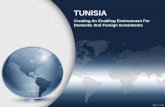 Tunisia - Creating an Enabling Environment for Domestic and Foreign Investments