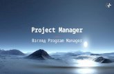 A Project Manager from a Program Manager's Perspective