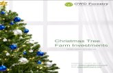 Christmas Tree  Investments Brochure 2015 Euro -V1.0