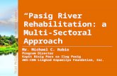 Pasig River Rehabilitation: A Multi-Sectoral Approach