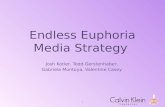 Endless Euphoria Presentation