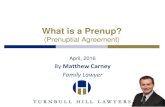 What is a prenup? (Prenuptial Agreement)