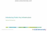 introducing public key infrastructure