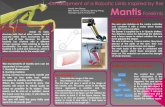Development of a Robotic Limb Inspired by the Mantis (1) (1)