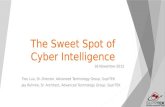 The Sweet Spot of Cyber Intelligence