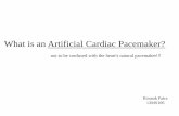 Artificial Cardiac Pacemaker