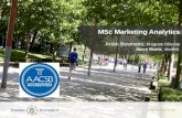 MSc Marketing Analytics