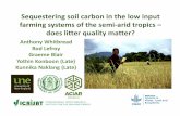 Sequestering soil carbon in the low input farming systems of the semi-arid tropics – does litter quality matter?