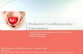 Pediatric Cardiovascular emergency