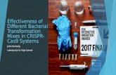 CRISPR bacterial transformation mixes