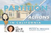 Partition Actions & Co-Ownership Disputes in California