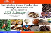 Sustaining Cocoa Production through Research for development: IITA's Perspectives