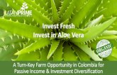 Organic Aloe Vera Investment Program