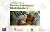 Honey bee health: mapping, analysis and improved understanding of stakeholders to help sustain honey bee health