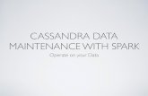 Cassandra Data Maintenance with Spark