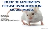 Study of alzheimers disease using knock in mouse model