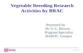 Vegetable Breeding Research in BRAC (Bangladesh).