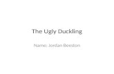 The Ugly Duckling - Final