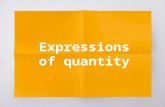 Expressions of quantities: some, any, much, many, a lot of and lots of for 10th grade