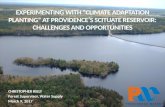 Experimenting with "Climate Adaptation Planting" at Providence's Scituate Reservoir: Challenges and Opportunities