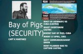 Bay of pigs (security)