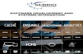 Sebrio Consulting Company Profile 2015