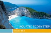 Chapter 19.2: Aquatic Ecossytems