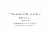 Cranial nerve III, IV and VI