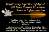 035 respiratory infection of apo e ko mice