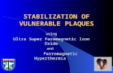 116 stabilization of vulnerable plaques