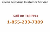 EScan Antivirus customer service 1-855-233-7309 TOLL FREE California EScan Antivirus Tech Support Phone Number