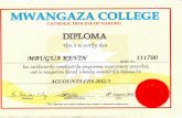2. Diploma in Accounting
