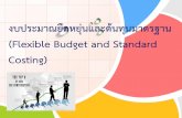 05 standard cost & flexible budget