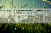 CL Experiential Landscape