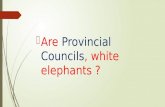 The provincial council 11