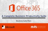 Microsoft Office 365 Business Suite.