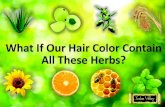 9 Miracle Herbs For Hair Colour With Complete Care