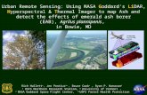 Urban Remote Sensing: Using NASA Goddard's LiDAR, Hyperspectral & Thermal Imager to map Ash and detect the effects of emerald ash borer (EAB), Agrilus plannipenis, in Bowie, MD
