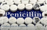 Penicillin Production