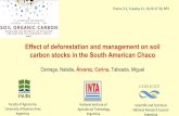 Effect of deforestation and management on soil carbon stocks in the South American Chaco