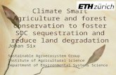 Climate Smart Agriculture and forest conservation to foster SOC sequestration and reduce land degradation