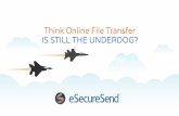 Think Online File Transfer Is Still The Underdog?