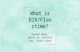 What is DIR / Floortime?