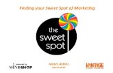 Finding Your Sweet Spot of Marketing