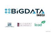 Big data lead colmex