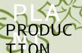 Plant production