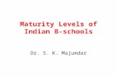 0 Maturity Levels of Indian B-Schools