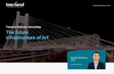 The future Infrastructure of IOT