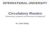L7 circulatory routes