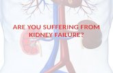 Are you suffering from kidney failure